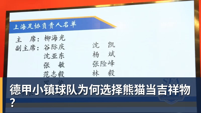 德甲小镇球队为何选择熊猫当吉祥物？